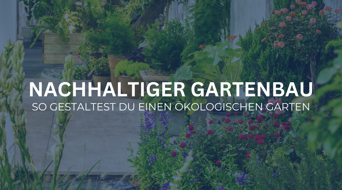 Nachhaltiger Gartenbau: So gestaltest du deinen ökologischen Garten