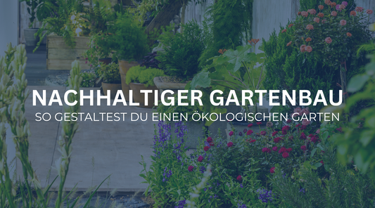 Nachhaltiger Gartenbau: So gestaltest du deinen ökologischen Garten