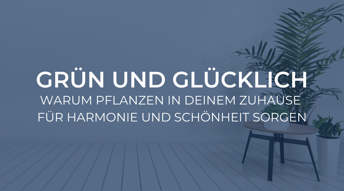 Grün und glücklich: Warum Pflanzen in deinem Zuhause für Harmonie und Schönheit sorgen