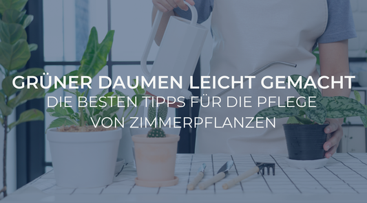 Grüner Daumen leicht gemacht: Die besten Tipps für die Pflege von Zimmerpflanzen