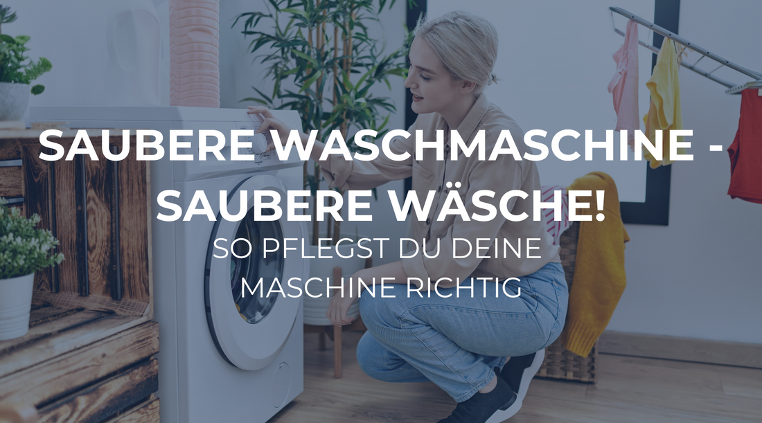 Saubere Waschmaschine, saubere Wäsche: So pflegst du dein Gerät richtig