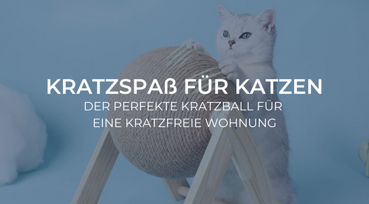 Kratzspaß für Katzen: Der perfekte Kratzball für eine kratzfreie Wohnung