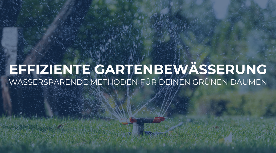 Effiziente Gartenbewässerung: Wassersparende Methoden für deinen grünen Daumen