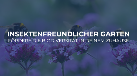 Insektenfreundlicher Garten: Fördere die Biodiversität in deinem Zuhause