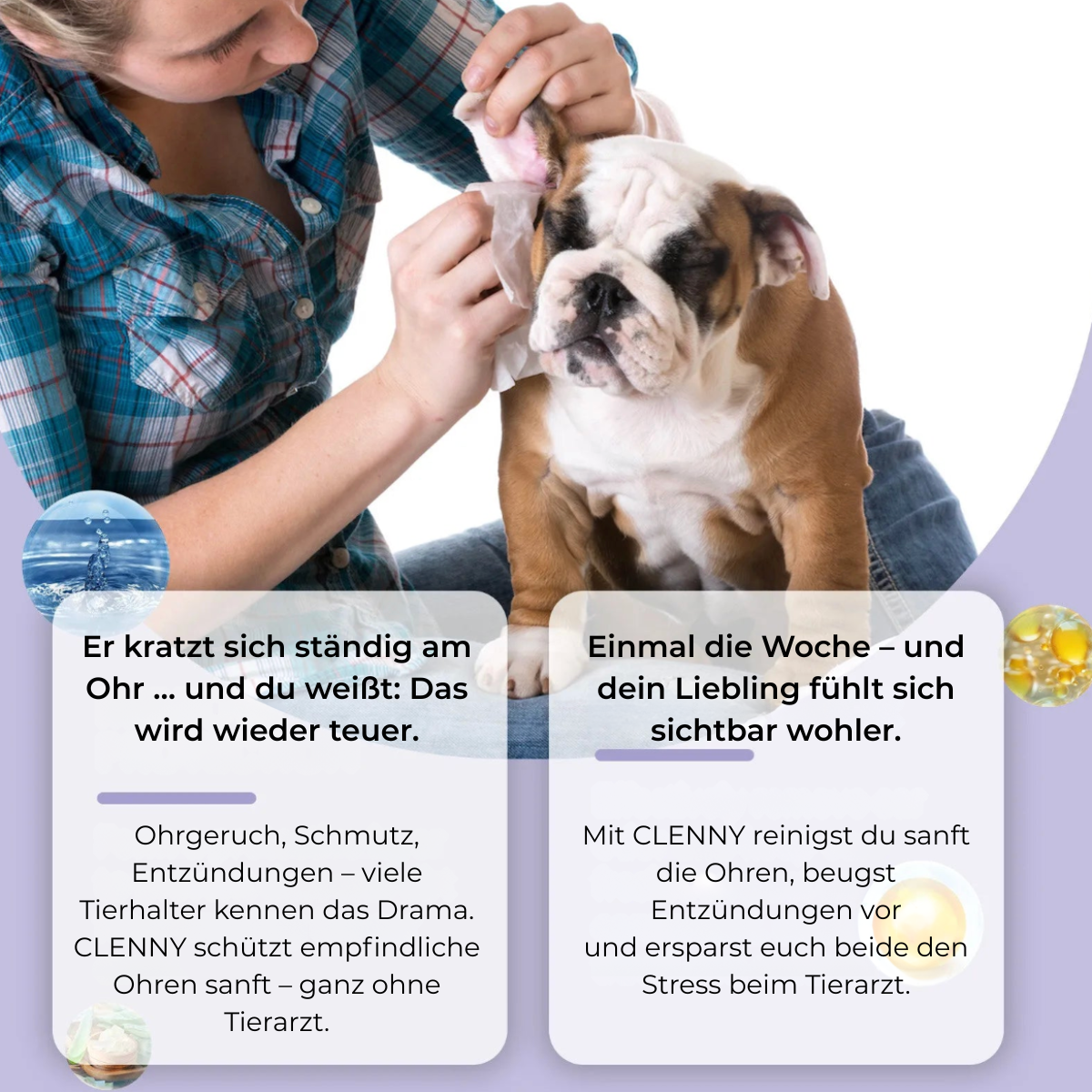 Clenny VetCare – Ohrpflege für Hunde & Katzen