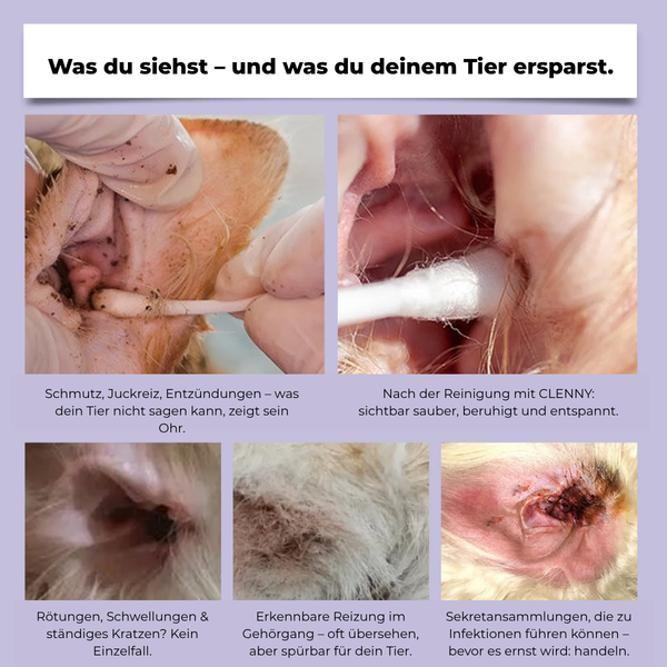 Sanfte Ohrpflege für Haustiere