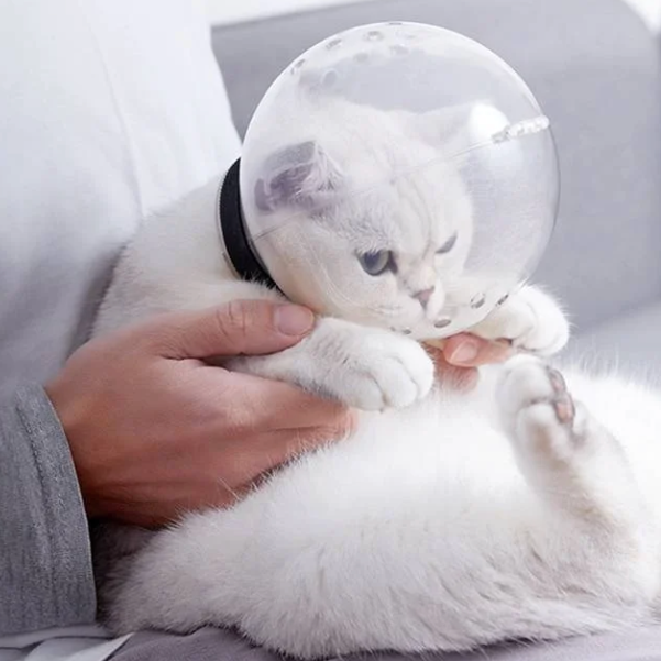 Cat Globe - Katzensicherung